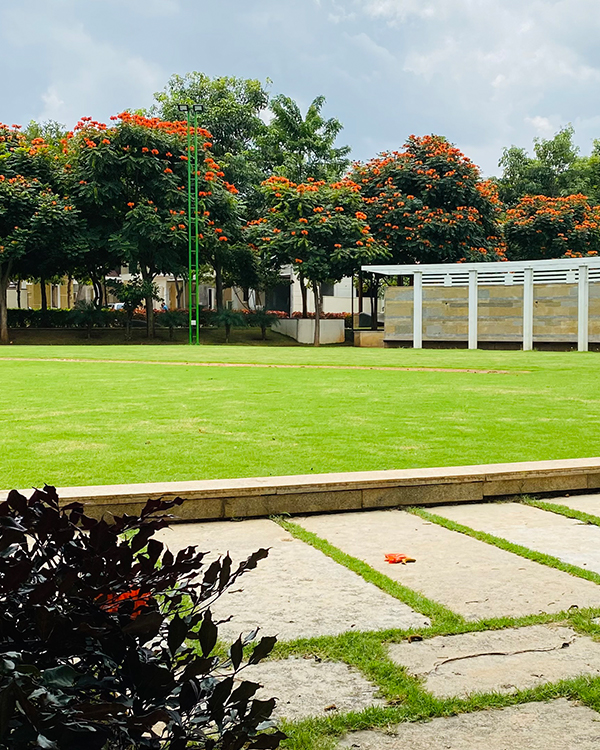 Parks and Open Spaces
